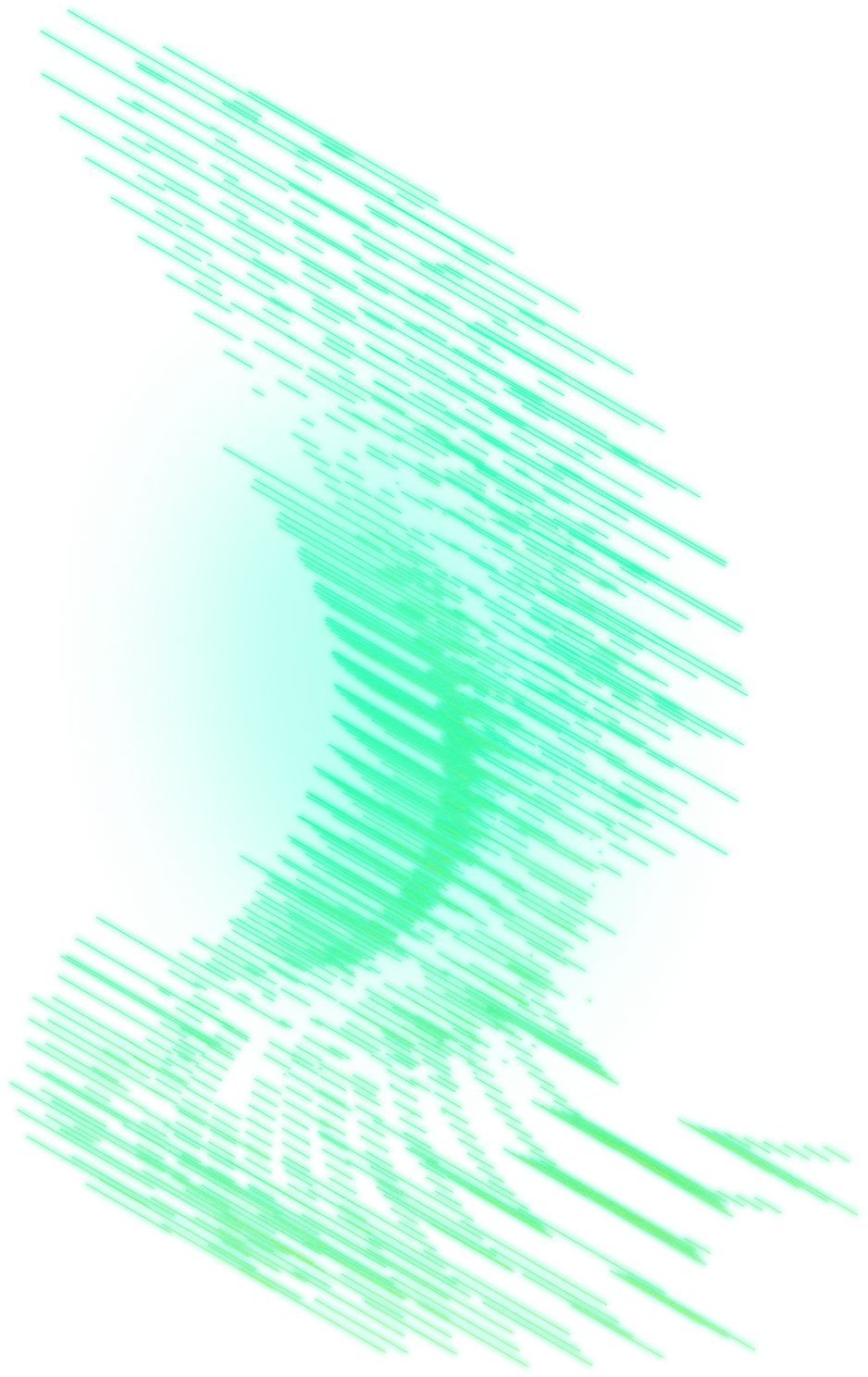 Ilustrace